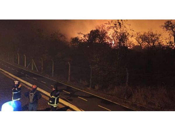 Altas temperaturas e inconsciencia aumentan los casos de incendios