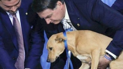 Crónica / Bolsonaro hizo que su perrito “firmara” ley