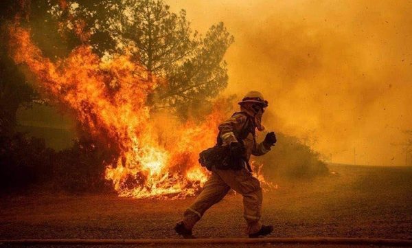 Desidia en política ambiental encendió mecha de arrasadores incendios