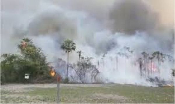 Advierten que cuadros respiratorios aumentarán con el humo de incendios en el ambiente