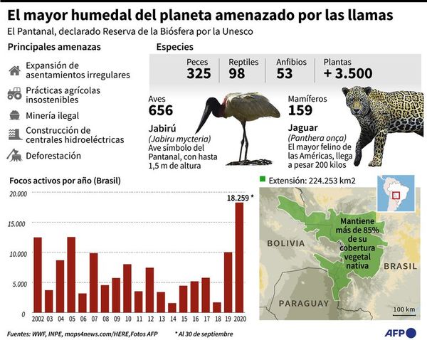 El fuego avanza en el Pantanal y la Amazonía - Mundo - ABC Color