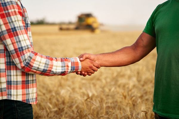Contratos agrícolas se abren camino en la Bolsa de Asunción, con registro de primeras seis firmas interesadas - MarketData