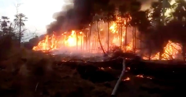 La Nación / Vegetación de Atyrá quedó con importantes daños tras voraz incendio