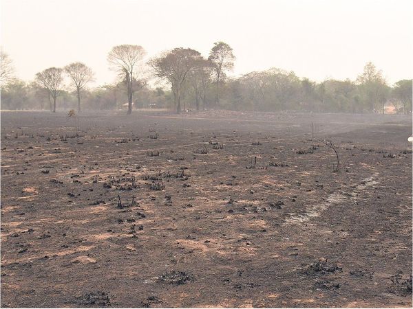 Octubre inicia con otros 9 récords de temperatura máxima en el país