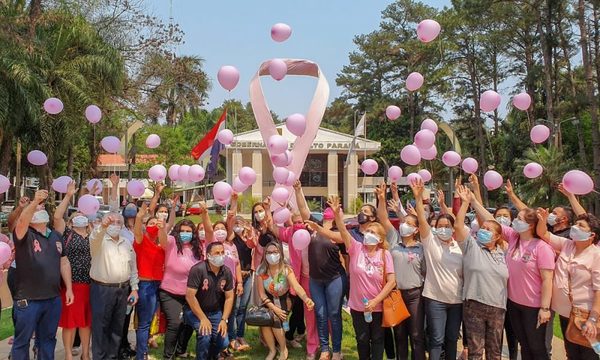 Gobernación habilita ecografías mamarias gratis durante todo el mes, en campaña Octubre Rosa – Diario TNPRESS