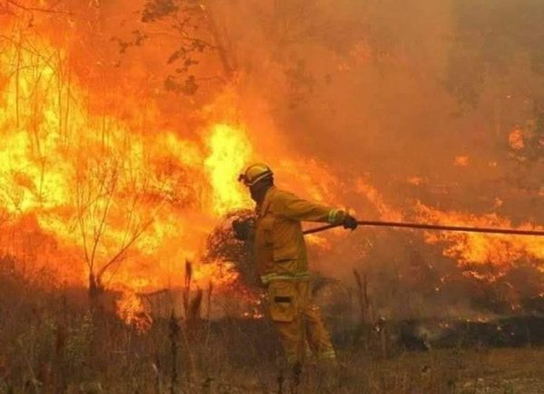 Ruegan evitar quema de basuras, tirar colillas y fósforos en campos