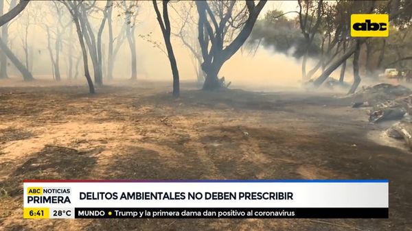 Las ONG son “todas bolaterapia”, según el exdiputado Tuma - ABC Noticias - ABC Color