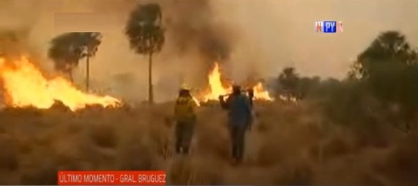 Confirman primer fallecido a causa de los incendios en General Bruguez | Noticias Paraguay