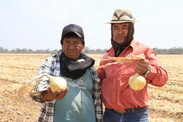 Conforman comisión que trabajará por la calidad y sanidad de hortalizas del Chaco