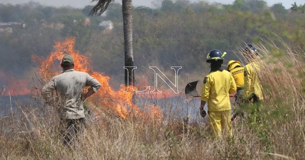 La Nación / Incendios forestales dejan un fallecido por quemaduras y otro por intoxicación