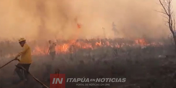 ALTO VERÁ: FAMILIAS CORREN DEL FUEGO Y EL HUMO EN ZONA DE RESERVA