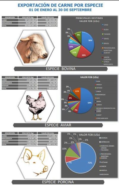 Exportación de carne mantiene buen ritmo - Nacionales - ABC Color