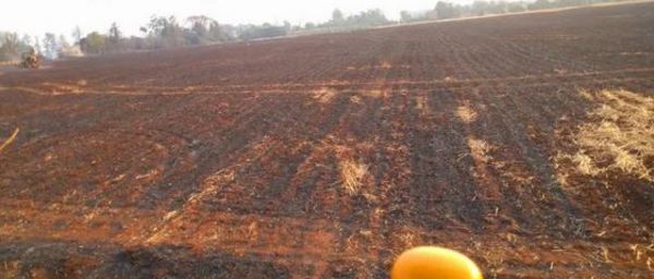 Un hombre falleció tras inhalar humo al tratar de apagar un incendio en Itapúa » Ñanduti