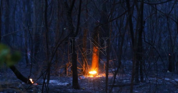 La Nación / Todavía no se conoce la cantidad de bosques afectados por incendios