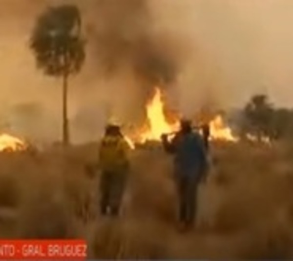 Tragedia en General Bruguez: Ganadero fallece combatiendo incendios - Paraguay.com