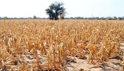 “La niña” y los incendios disminuirían los niveles de lluvia y la situación podría ser más crítica, advierten - Nacionales - ABC Color