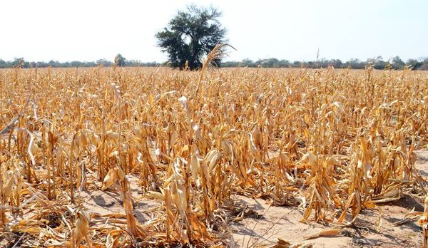 “La niña” y los incendios disminuirían los niveles de lluvia y la situación podría ser más crítica, advierten - Nacionales - ABC Color