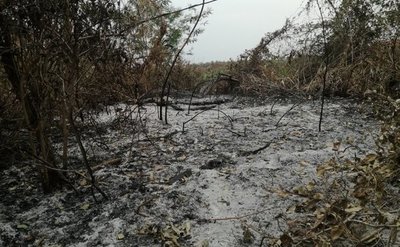 Crítica situación en el Chaco