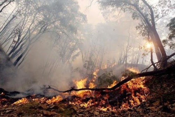 Ministerio de Salud alerta sobre posibles riesgos a la salud a consecuencia de incendios