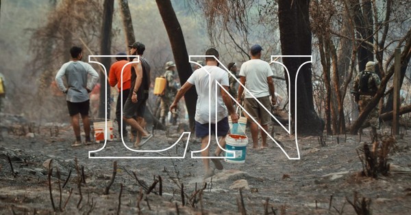 La Nación / Si se reactiva incendio en el Botánico, volverán a cerrar parques Ñu Guasu y Metropolitano