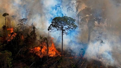 HOY / Los incendios se disparan en la Amazonía y Pantanal brasileño
