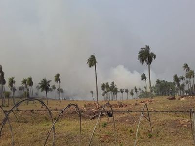 Incendios de gran envergadura en límite de Altos y San Ber - Nacionales - ABC Color