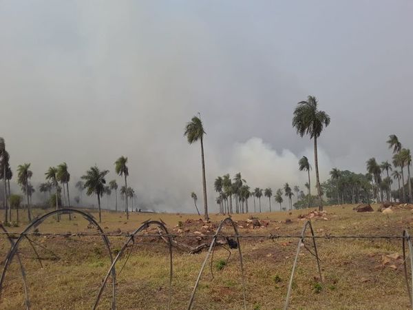 Incendios de gran envergadura en límite de Altos y San Ber - Nacionales - ABC Color