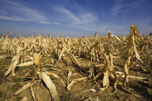 Ultimo trimestre del año no traerán habituales lluvias y azotará a agricultura - ADN Paraguayo