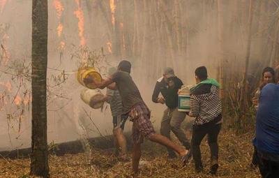 Crisis nacional por incendios: Acciones conjuntas entre Presidencia y SEN