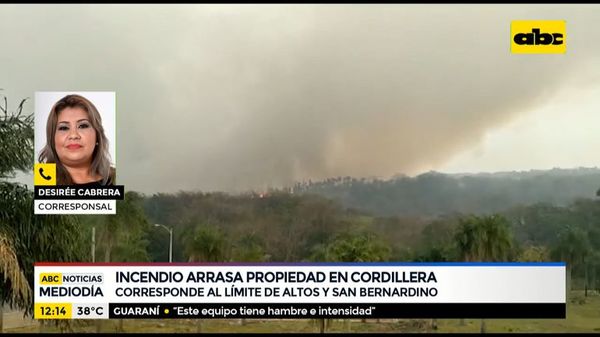 Incendio arrasa una propiedad en Cordillera - ABC Noticias - ABC Color