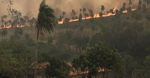La Nación / Compañía Ybu de la ciudad de Altos arde en llamas