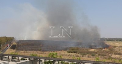 La Nación / Quemas controladas no funcionan: “Estudios demuestran que deterioran la tierra”