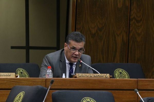 Diputado Acevedo presenta proyecto de declaración de interés nacional la construcción y asfaltado de la ruta entre Pedro Juan y Bella Vista sobre la franja de frontera