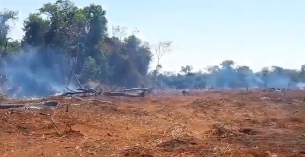 Ambientalista repudia que denuncias por incendios forestales queden 'en culpa de alguien anónimo' y nunca sean investigadas