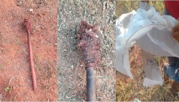 El país en llamas: “Todos estos incendios son provocados”, afirma titular de SEN - ADN Paraguayo