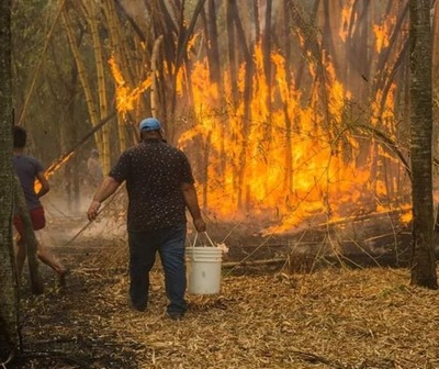 Incendio de gran magnitud afecta a la ciudad de Altos