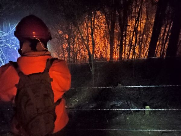 Mades identificó a más de 400 dueños de propiedades donde se produjeron incendios de pastizales - Nacionales - ABC Color