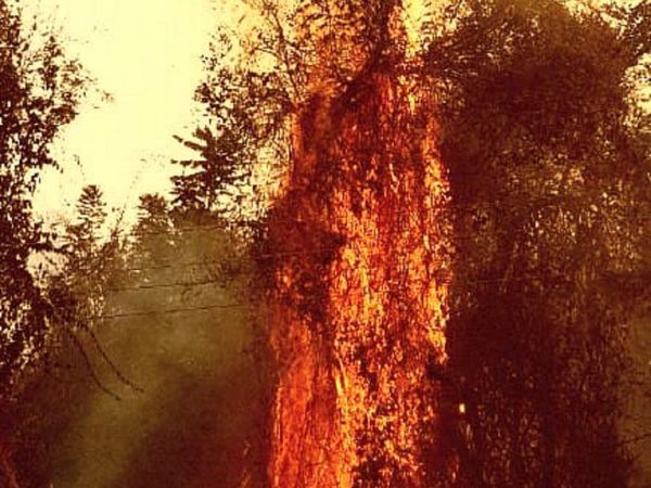 Guairá: Piden auxilio para apagar incendio en base del Salto Suizo
