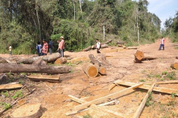 La desforestación genera “inviernos leves” y calor extremo, advierte meteorólogo - ADN Paraguayo