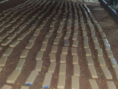 Incautaron alrededor de 1.400 kilos de marihuana en Pedro Juan Caballero