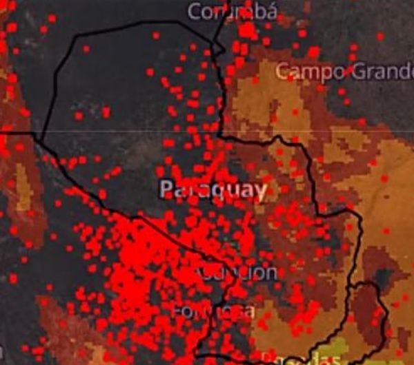 Se registran 12.282 focos de incendio en todo el país | OnLivePy
