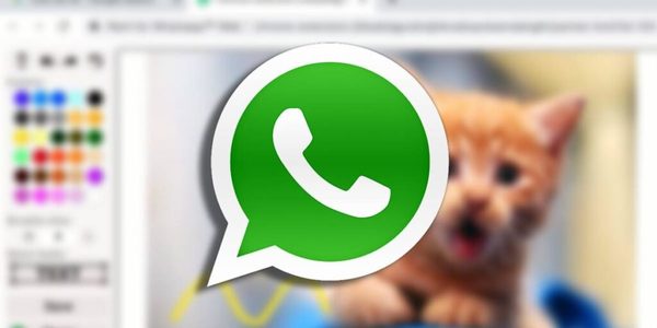WhatsApp Web: te decimos cómo agregar Paint al servicio en línea. | OnLivePy