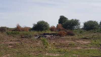 Imputan a propietario de inmueble por delitos contra el medio ambiente - Megacadena — Últimas Noticias de Paraguay