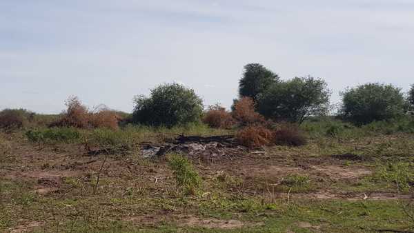 Imputan a propietario de inmueble por delitos contra el medio ambiente - Megacadena — Últimas Noticias de Paraguay