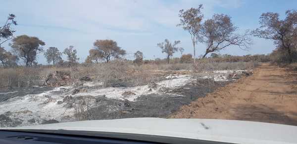 Alto Paraguay: Imputan a dueño de una finca por delitos contra el medio ambiente » Ñanduti