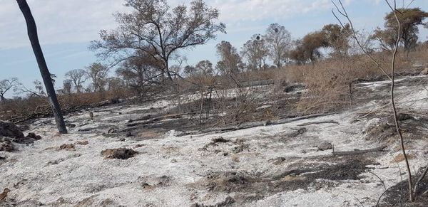 Pese a merma, focos de calor siguen siendo miles, mientras imputan a un par - Nacionales - ABC Color