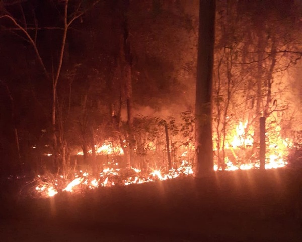 Concepción: Incendio en el predio de la Escuela Agrícola