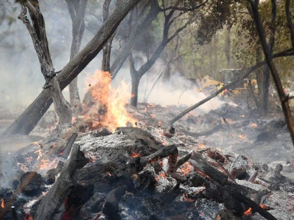 Codehupy exige rendición de cuentas a autoridades tras incendios forestales