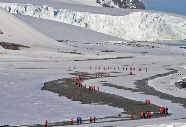 La Península de la Antártida registra su año más caluroso en tres décadas, según estudio