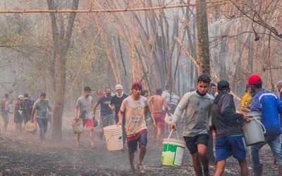 Riesgos de enfermedades crónicas, fibre amarilla y hantavirus a consecuencia de los incendios